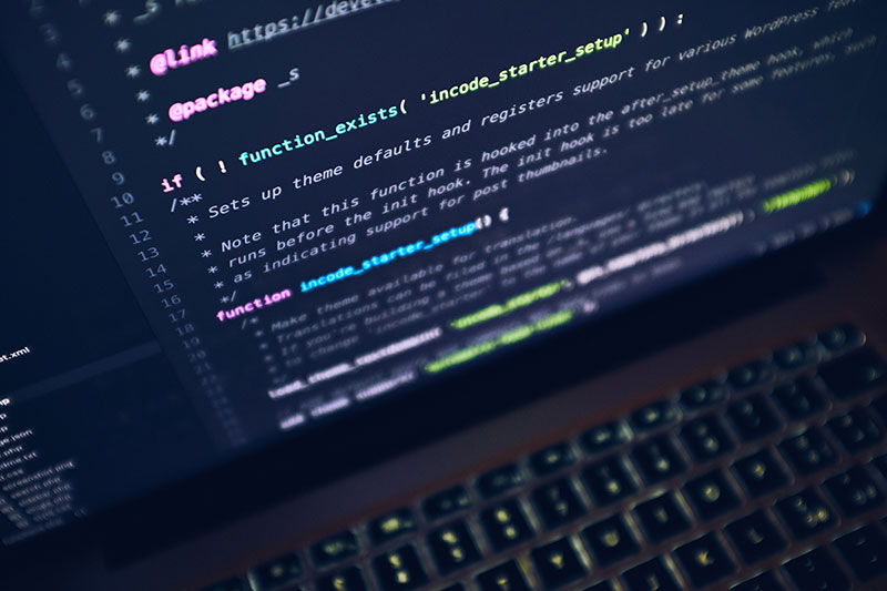 Find Out How Your WordPress Plugin Is Used With Wisdom