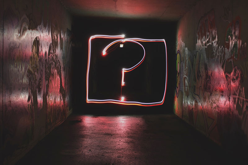 The WordPress Editor Experience Survey Results Are In
